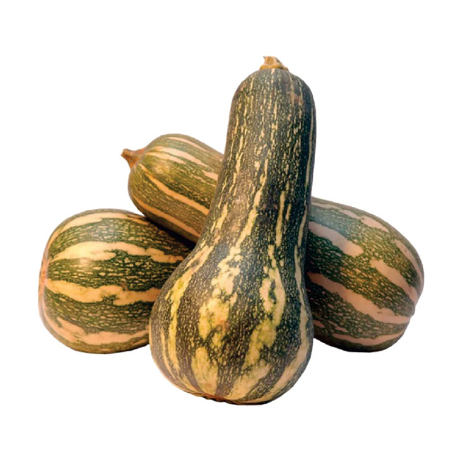 HORTI - ABOBORA PAULISTA MACARRAO KG