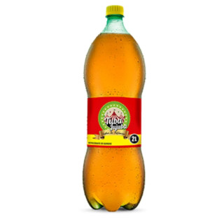 REFRIGERANTE TUBA JUJUBA 2LTS LARANJA