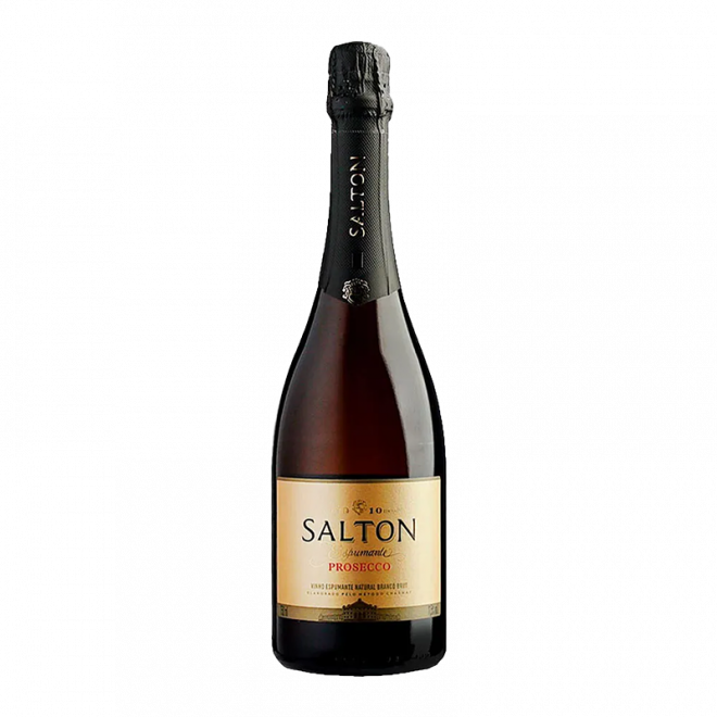 ESPUMANTE SALTON PROSECCO BRUT 750ML