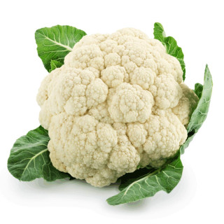 HORTI - COUVE FLOR UND