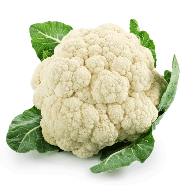HORTI - COUVE FLOR UND