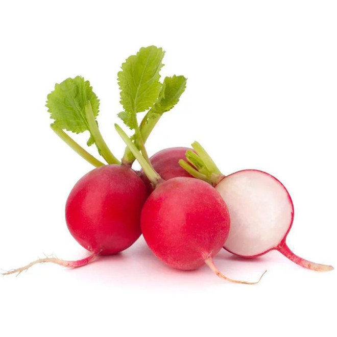 HORTI - RABANETE
