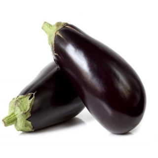 HORTI - BERINJELA KG