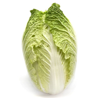 HORTI - ACELGA UND