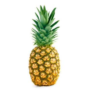 FRUTA - ABACAXI PEROLA UND