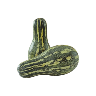 HORTI - ABOBORA PAULISTA KG