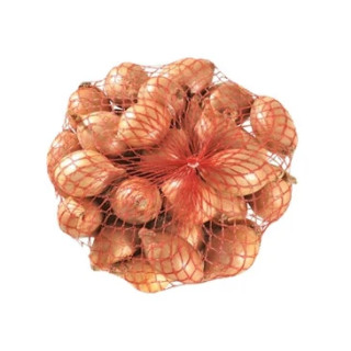 HORTI - CEBOLA CONSERVA PROVE 1KG
