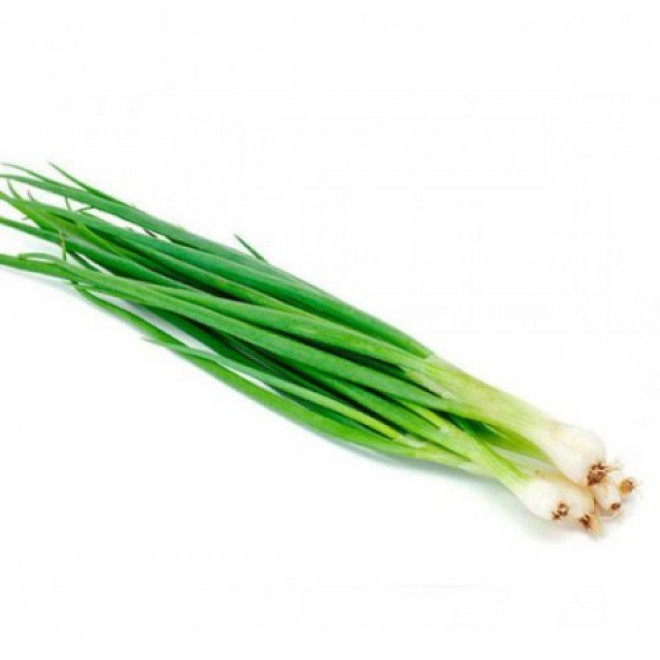 HORTI - VERDURA CEBOLINHA UND