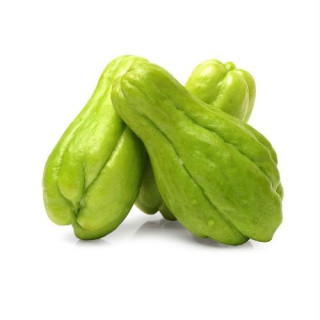 HORTI - CHUCHU KG