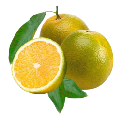 FRUTA - LARANJA PERA RIO KG