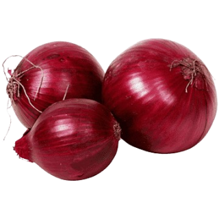 HORTI - CEBOLA ROXA KG