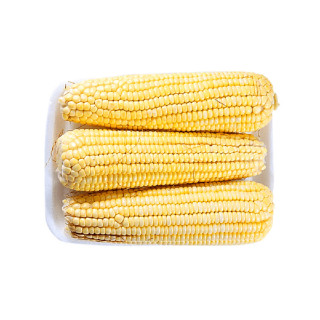 HORTI - MILHO VERDE MAPE BDJA 700G