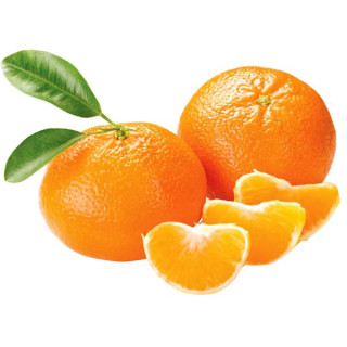 FRUTA - MORGOTE KG