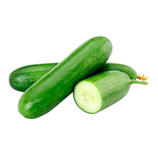 HORTI - PEPINO ALDAY KG