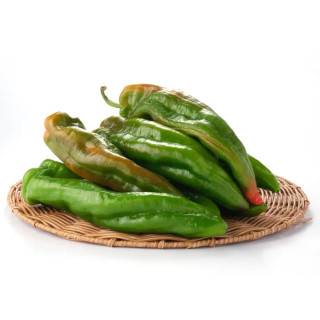 HORTI - PIMENTA AMERICANA KG