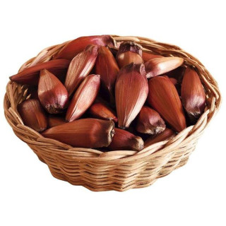 HORTI - PINHAO KG