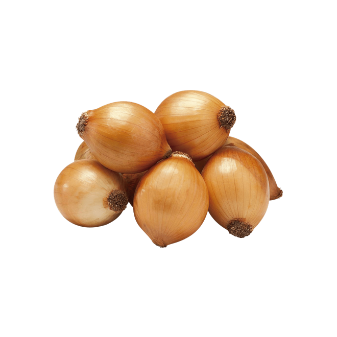 HORTI - CEBOLA PIRULITO KG