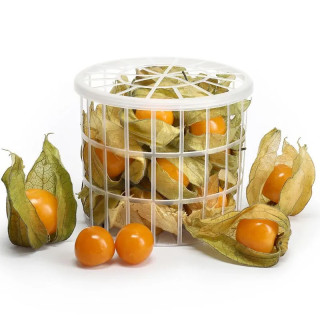 FRUTA - PHYSALIS POTE 100G