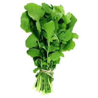 HORTI - VERDURA RUCULA UND