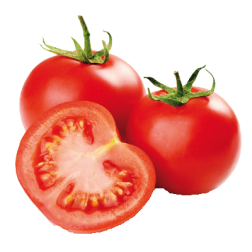 HORTI - TOMATE LONGA VIDA KG