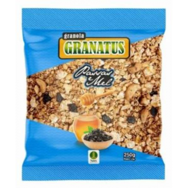 NATUS - GRANOLA GRANATUS 250G PASSAS MEL