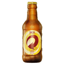 CERVEJA SKOL LITRINHO 300ML