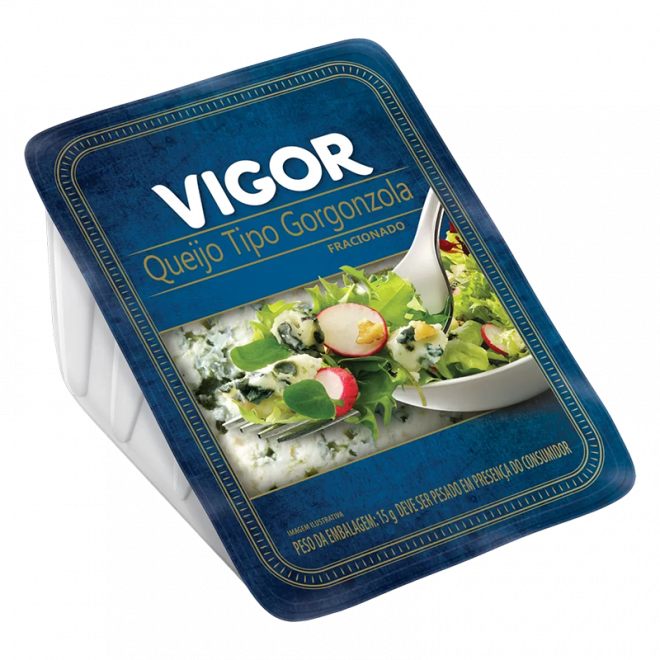 QUEIJO VIGOR TIPO GORGONZOLA 100G
