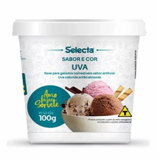 SORVETE SELECTA 100G UVA