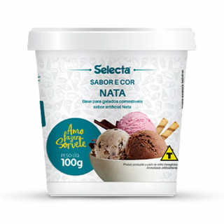 SORVETE SELECTA 100G NATA
